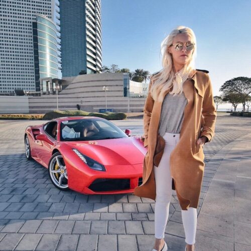 X Car Rental 2